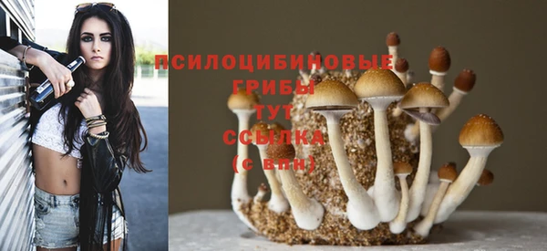 спиды Пересвет