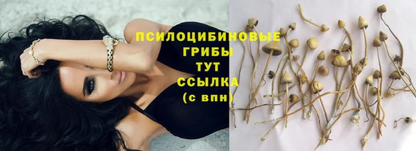 амф Осинники