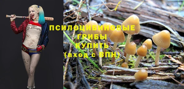 амф Осинники
