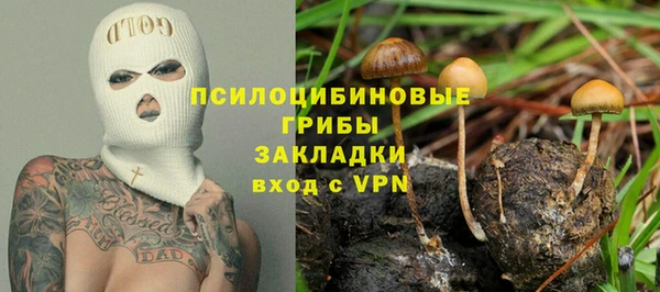 spice Осташков