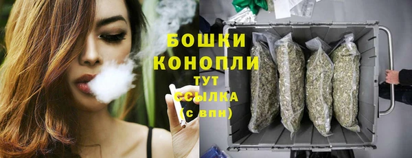 spice Осташков