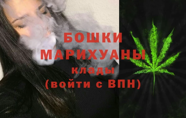 амф Осинники