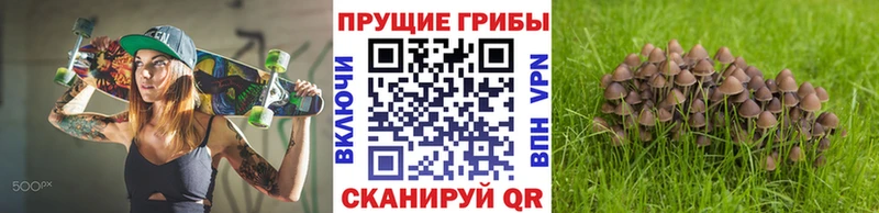 Псилоцибиновые грибы мицелий  Белгород 