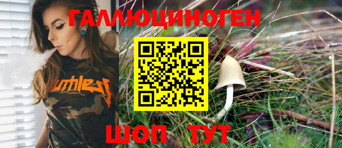 купить наркотик  Псилоцибиновые грибы MAGIC MUSHROOMS  Вход с VPN  Белгород 