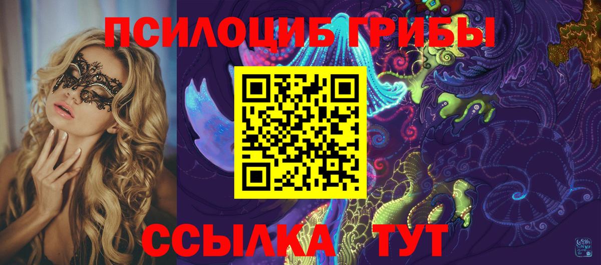 Псилоцибиновые грибы Psilocybine cubensis  Псилоцибиновые грибы MAGIC MUSHROOMS  Белгород 