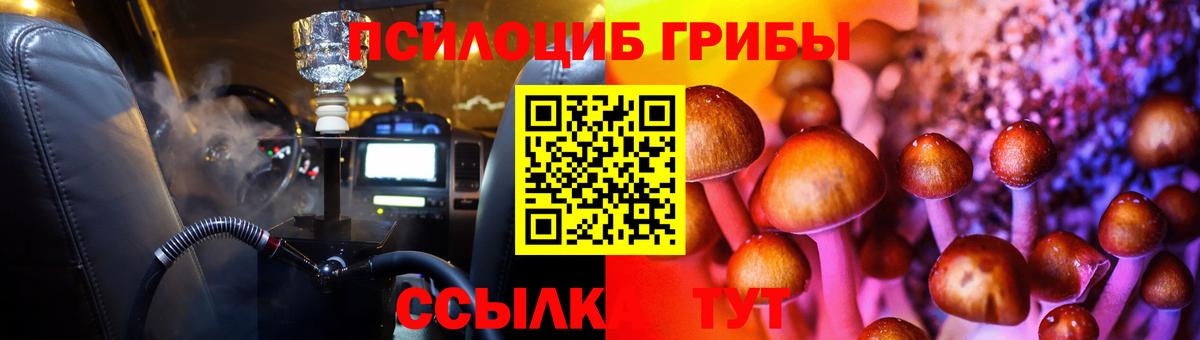 Псилоцибиновые грибы Psilocybe Белгород