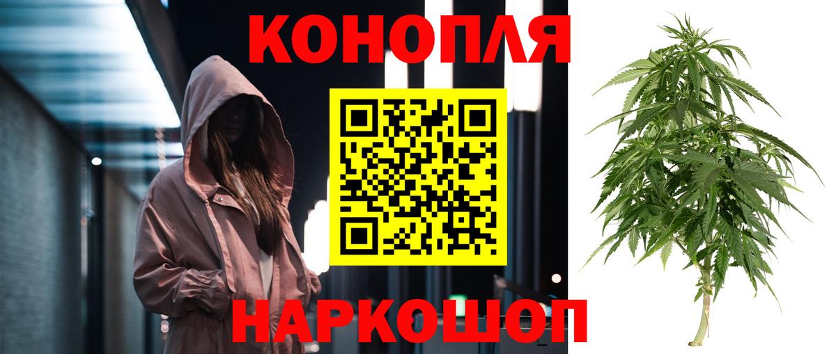 Бошки марихуана сатива  Конопля марихуана  Белгород  Вход с VPN 